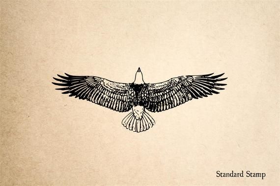Tatuajes de aguilas 13