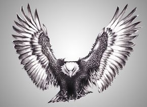 Tatuajes de aguilas 11