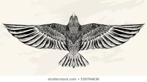 Tatuajes de aguilas 10