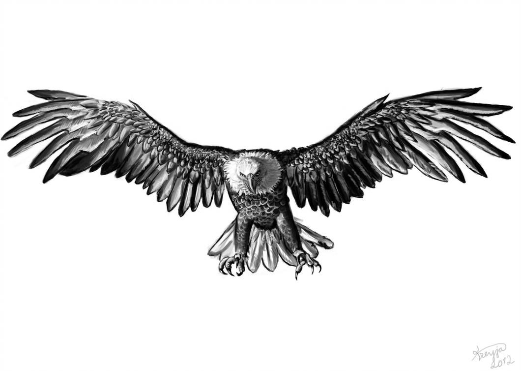 Tatuajes de aguilas 8