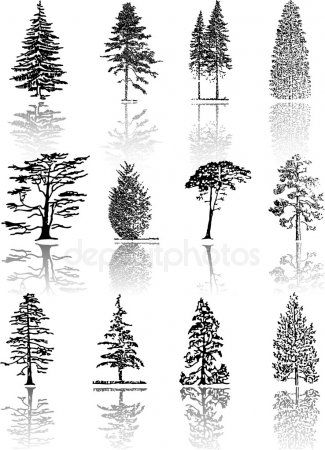 Tatuajes de arboles 5