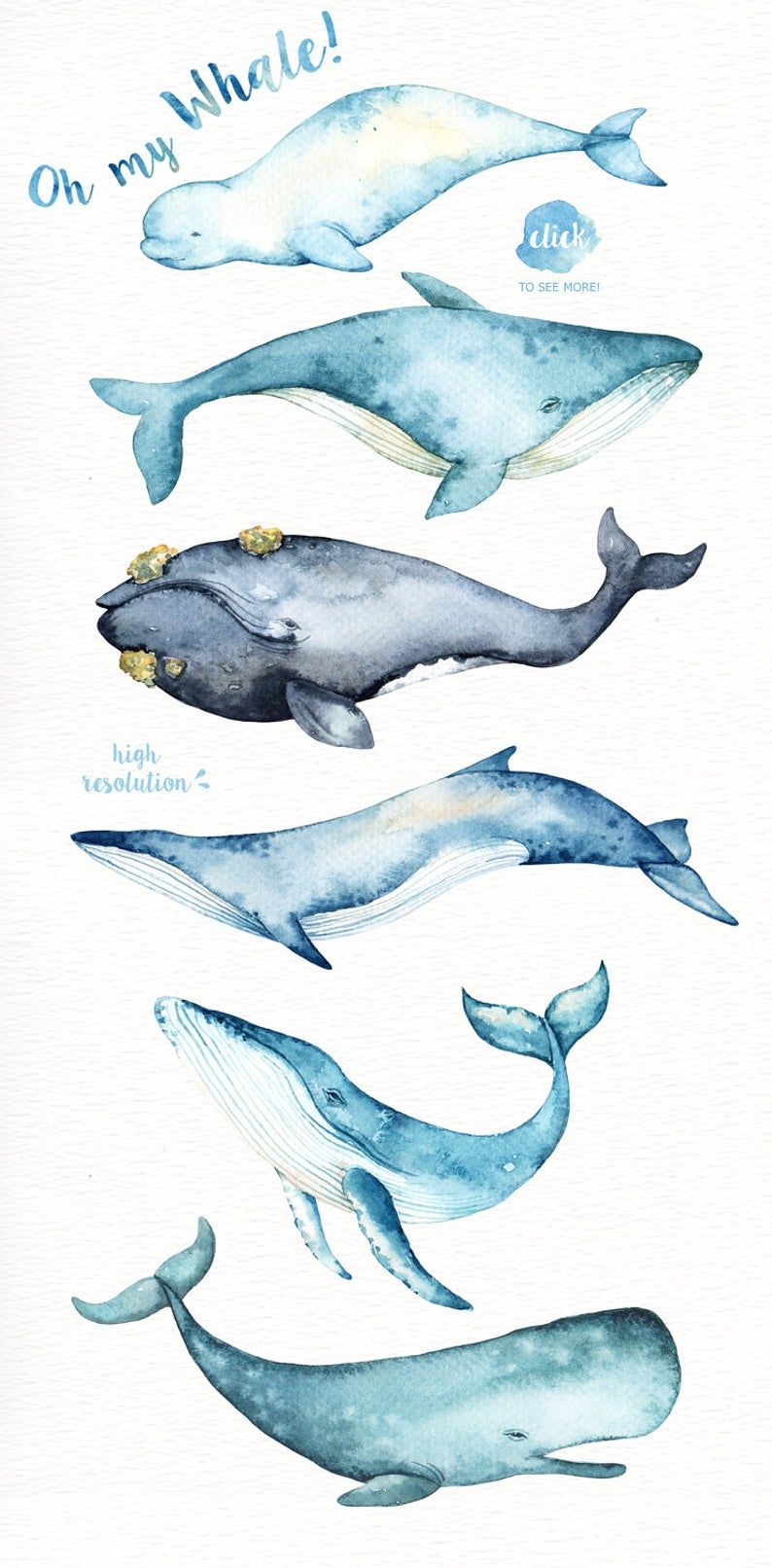 Tatuajes de ballenas 4
