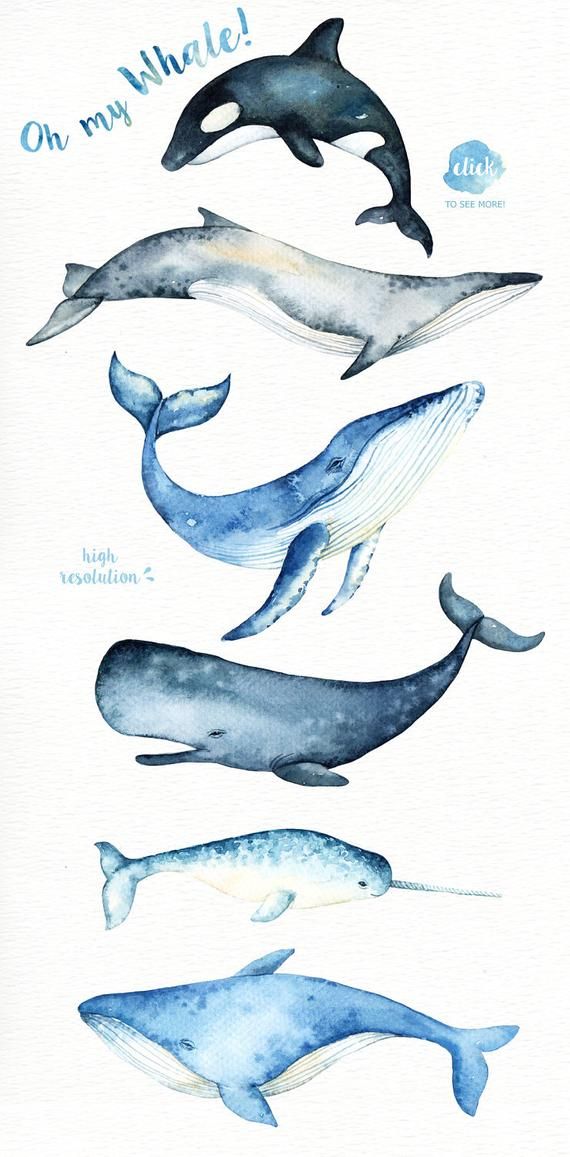 Tatuajes de ballenas 2