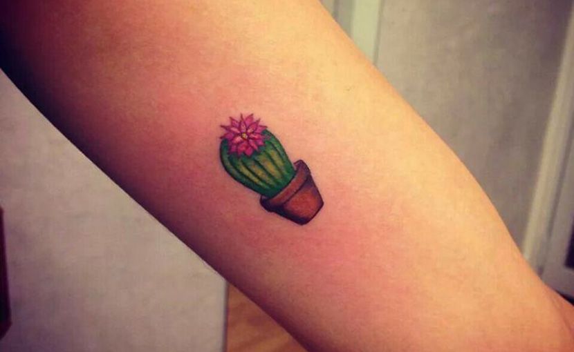 Tattoos of cactus 13