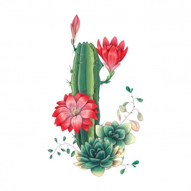Tattoos of cactus 3