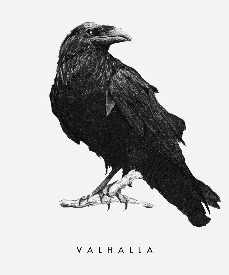 Tatuagens de cuervos 9