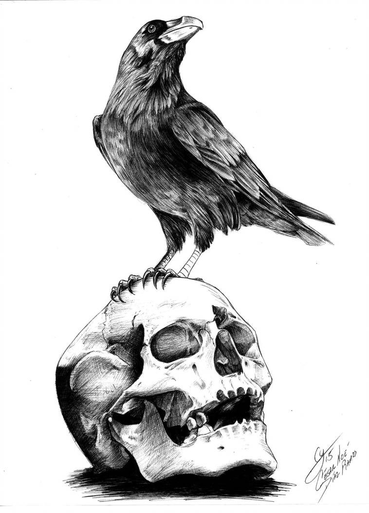 Tatuagens de cuervos 14