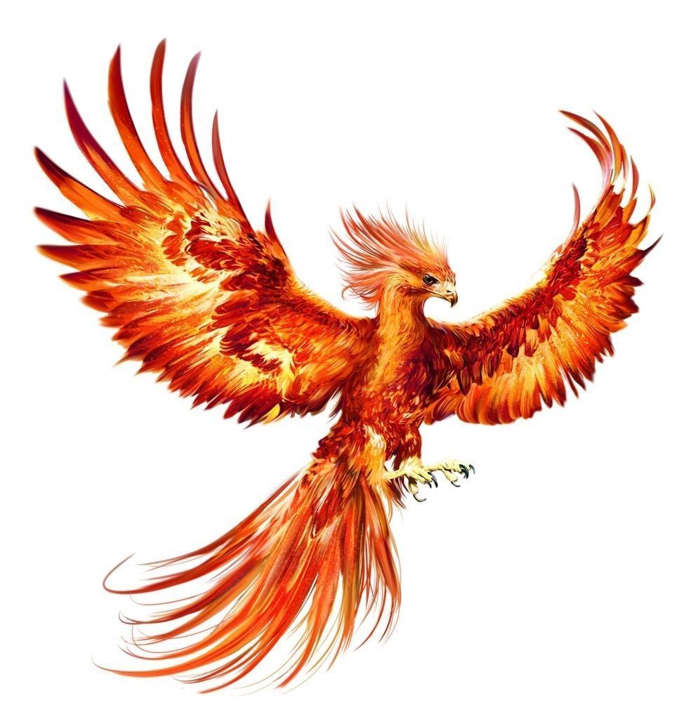 Tattoos of duki 11