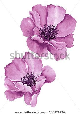 Tattoos of flores japonesas 3
