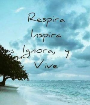Tatuajes de frases cortas 18