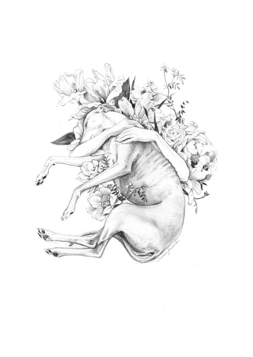 Tatuajes de galgos