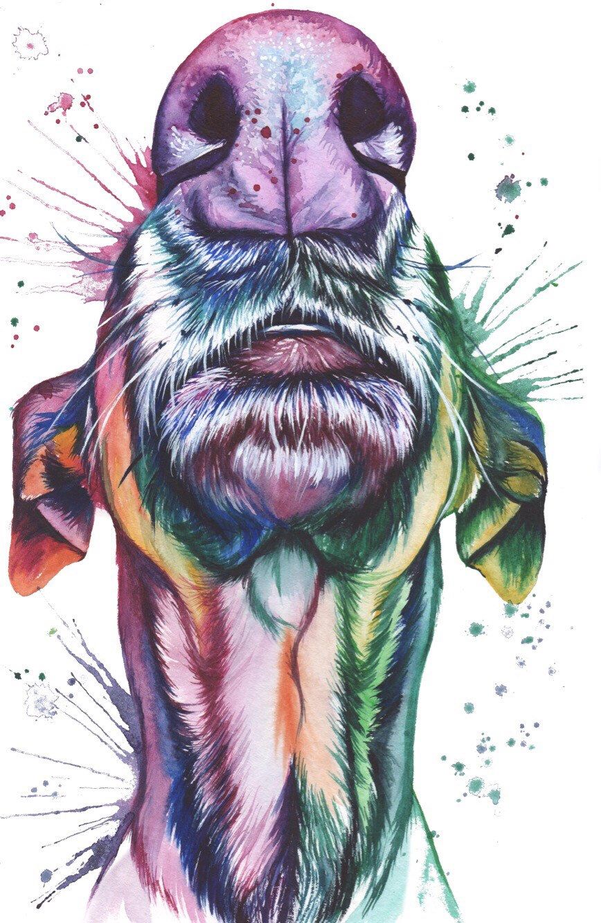 Tatuajes de galgos