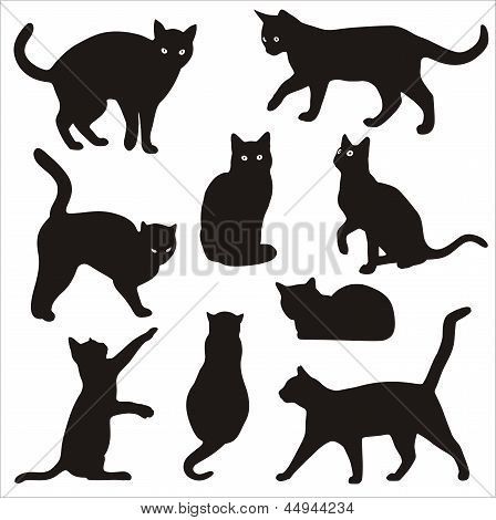 Tatuagens de gatos siluetas 25