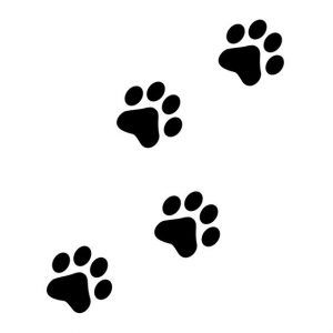 Tatuagens de gatos siluetas 8