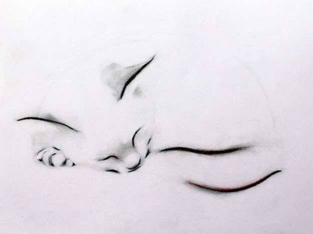 Tatuagens de gatos siluetas 5