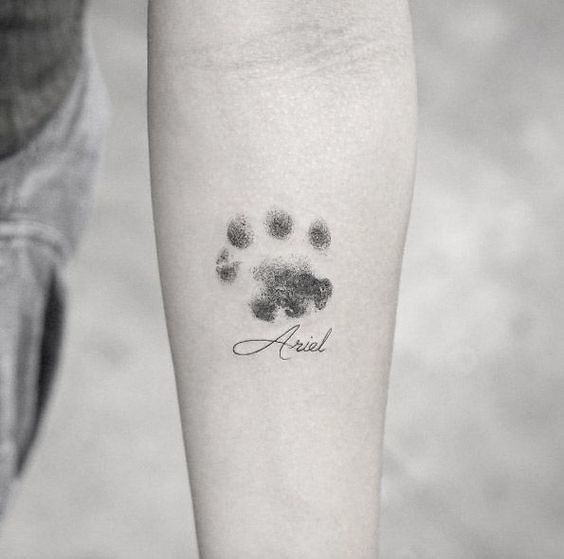 Tatuagens de huellas de gato 61