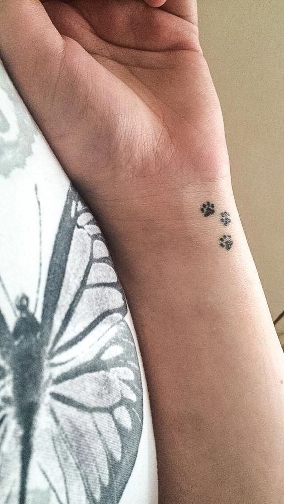 Tatuagens de huellas de gato 46