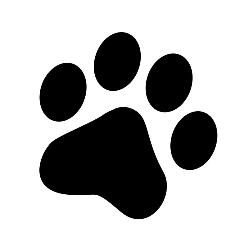 Tatuagens de huellas de gato 28