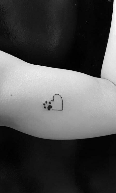 Tatuagens de huellas de gato 10