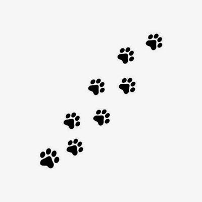 Tatuagens de huellas de gato 9