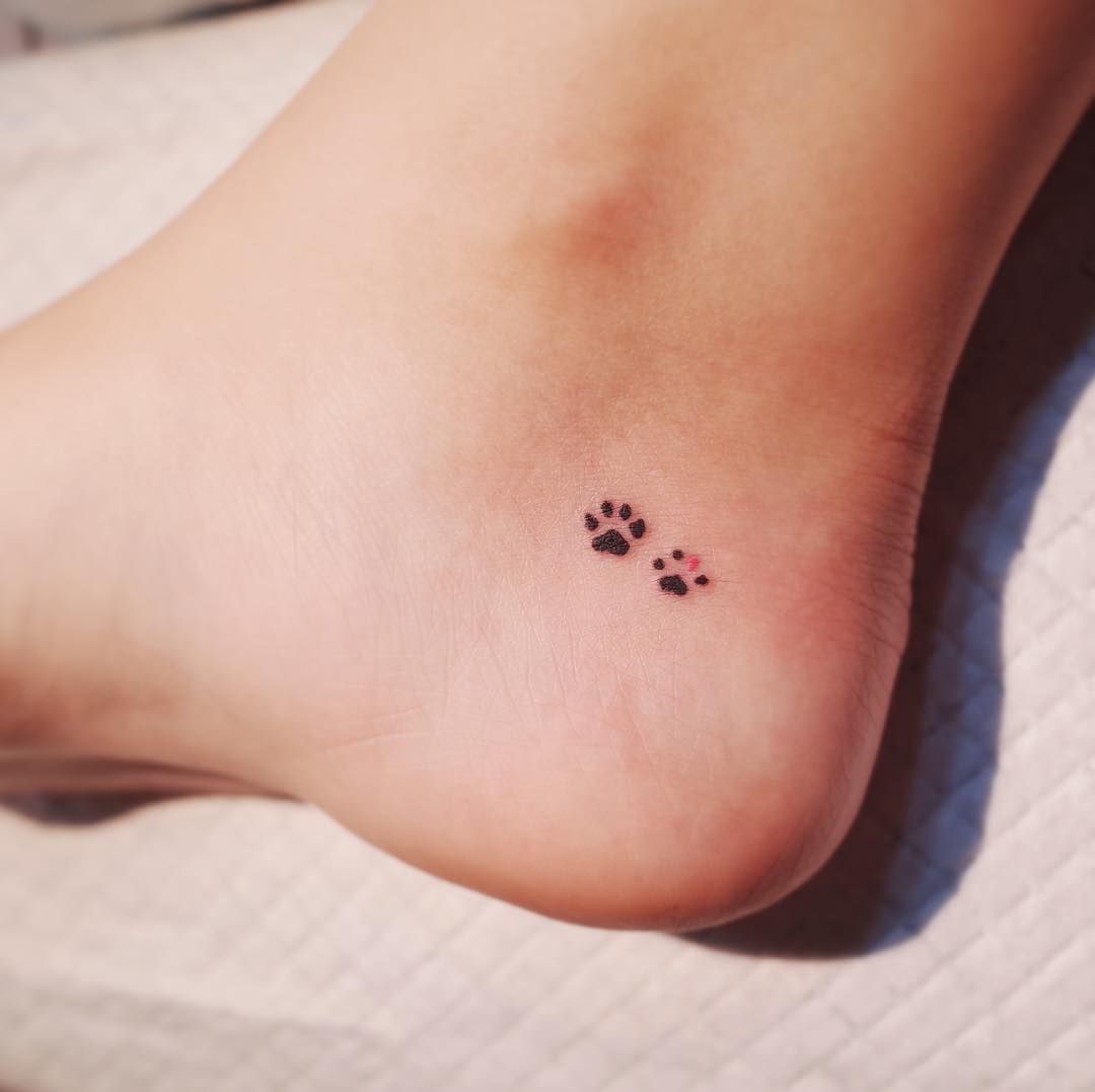 Tatuagens de huellas de gato 4