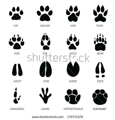 Tatuagens de huellas de gato 2