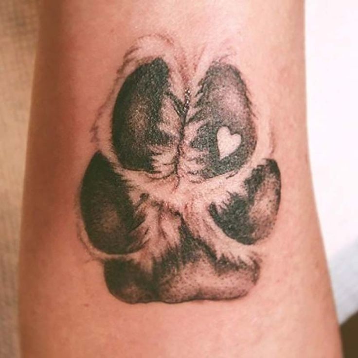 Tatuajes de huellas de perro