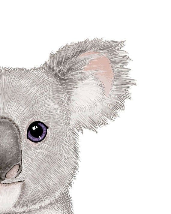 Tattoos of koalas 11