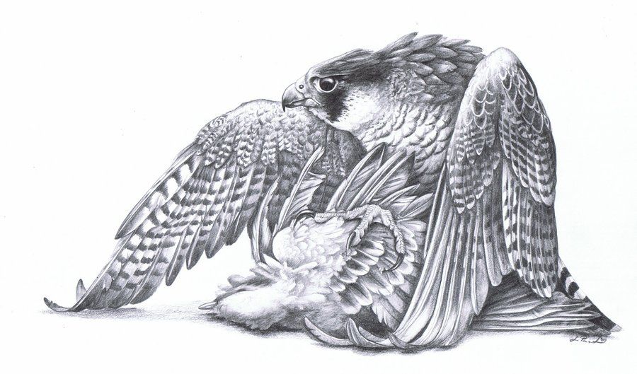 Tattoos von nombres bertha 14