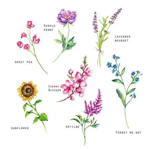 Tattoos von nombres con mariposas