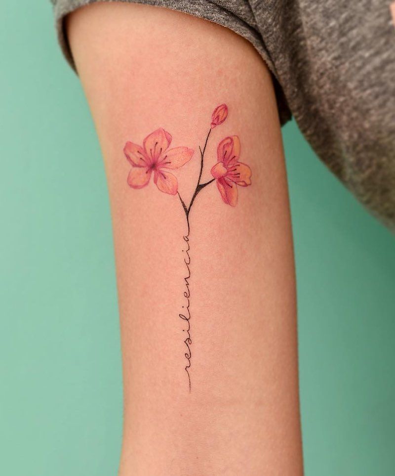 Tatuagens de nombres julian 5