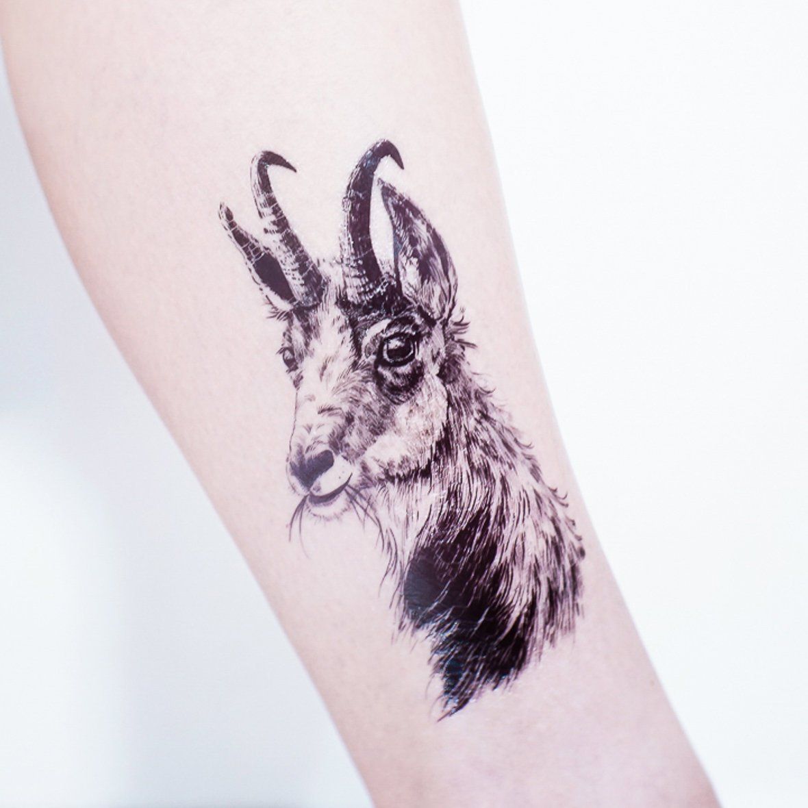 Tatuajes de nombres oliver