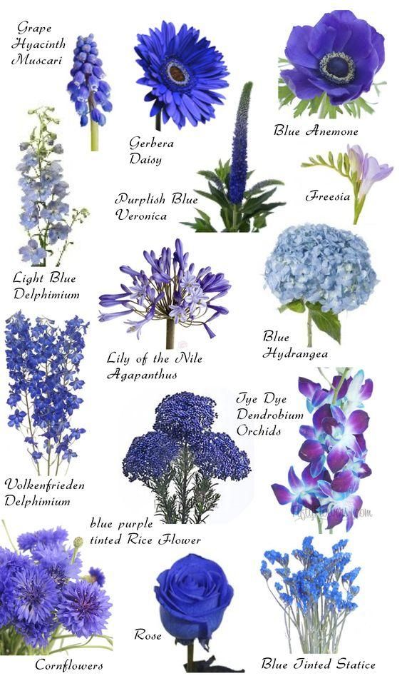 Tattoos von nombres y flores 3