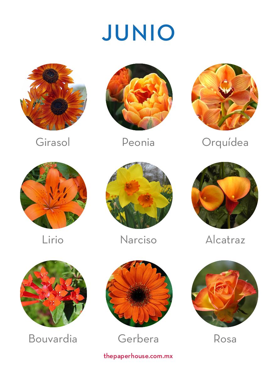 Tattoos von nombres y flores 35