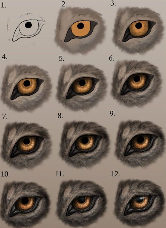 Tatuaggi di ojos realistas 13