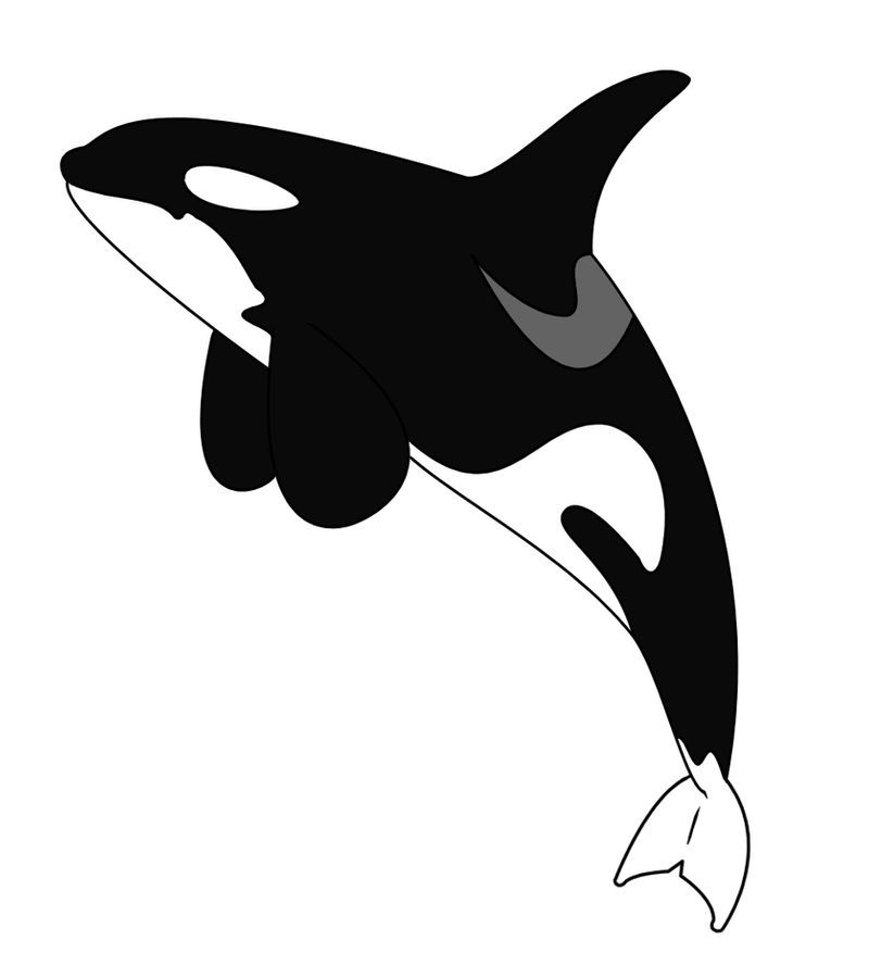 Tattoos of orcas 2