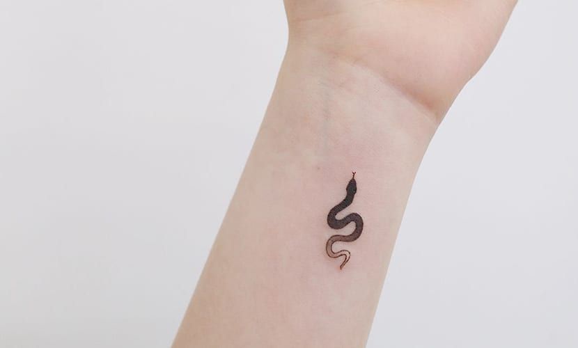 Tattoos of serpientes 53