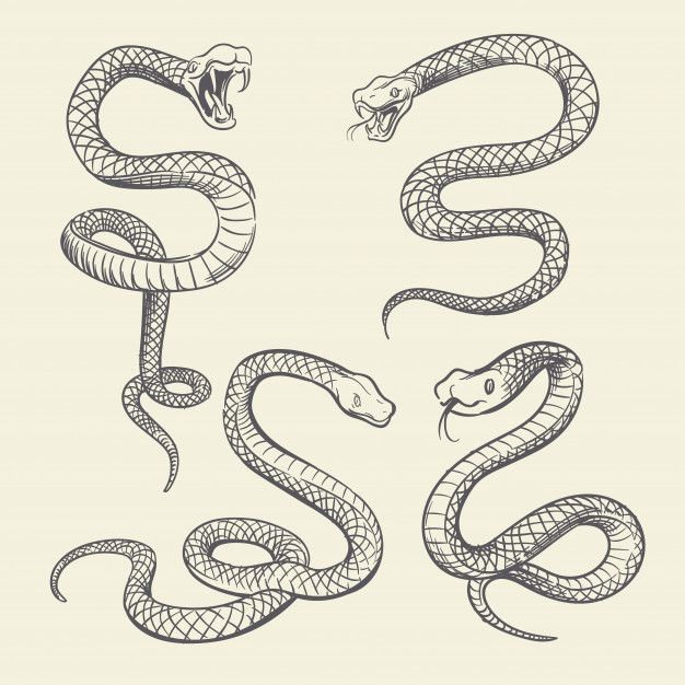 Tattoos of serpientes 6