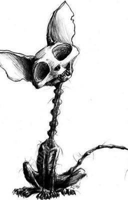 Tattoos of terror 46