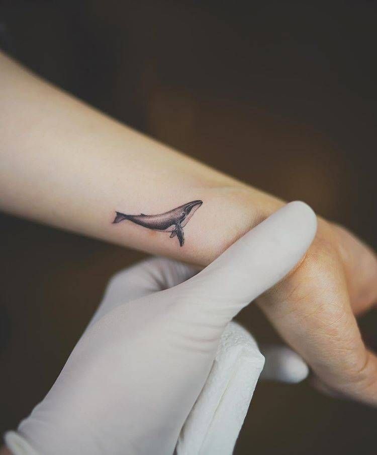 Tatouages de tiburones 4