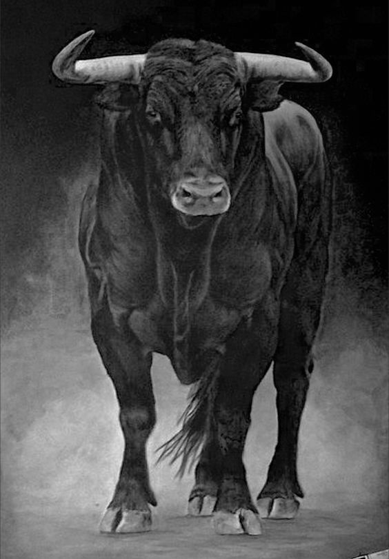 Tatuajes de toros