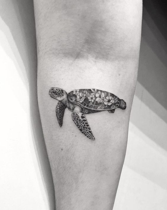 Tatuaggi di tortugas 6