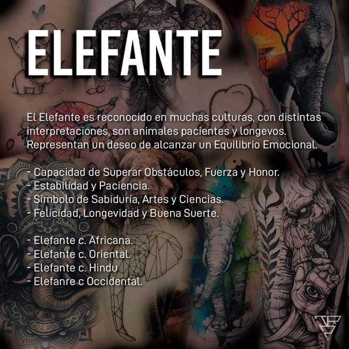 Tattoos of wally 53