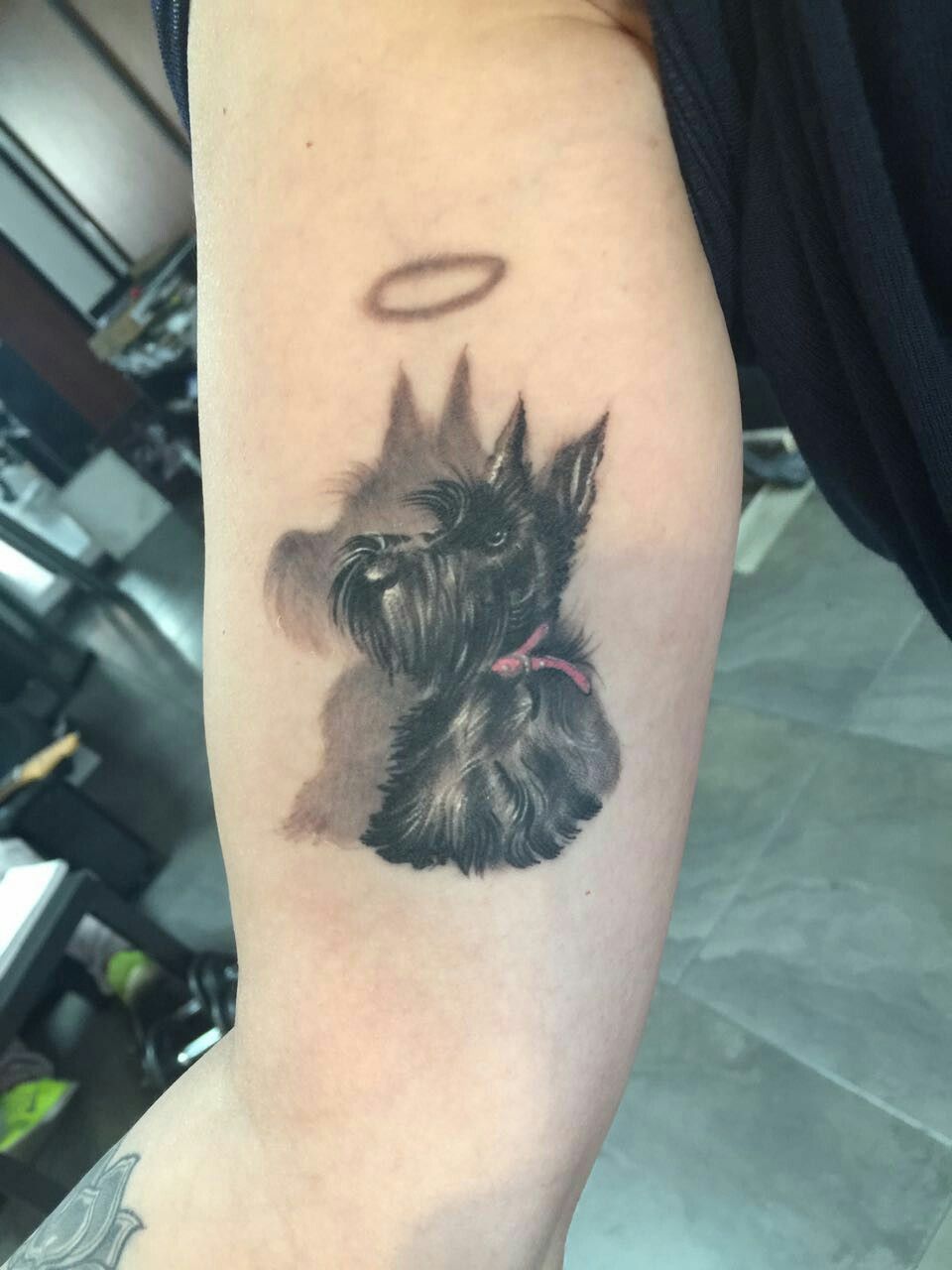 Tatuajes de westies 11