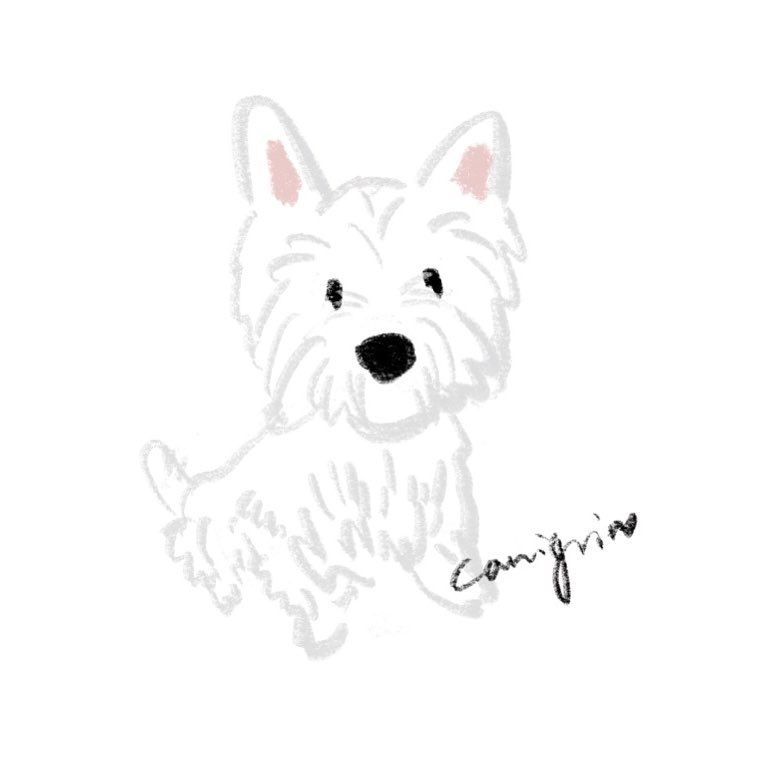 Tatuajes de westies 16