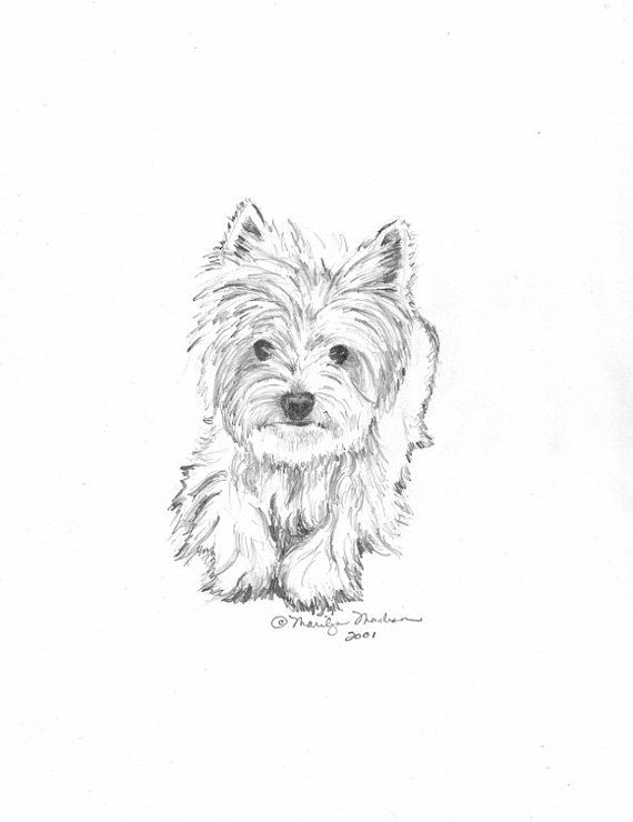Tatuajes de westies 9