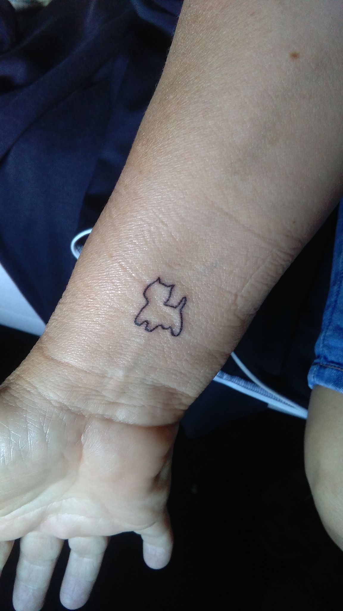 Tatuagens de westy 6