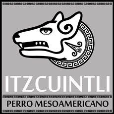 Tatuajes de xolos 24