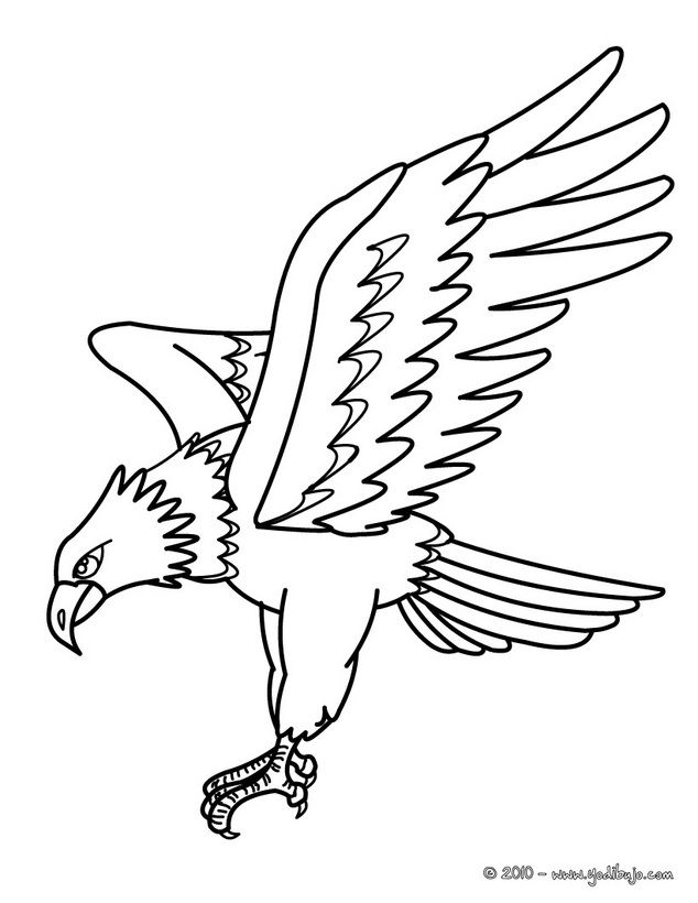 Tatuajes de xolos 22