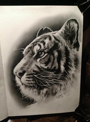 Tatuagens de xxtenations 4